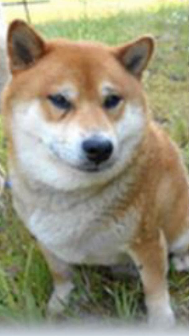 miniさま  確認用　その②