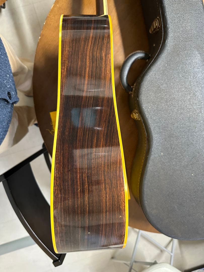 稀少❗️美品‼️Cats' eyes(キャッツアイ)CE-450D 東海楽器