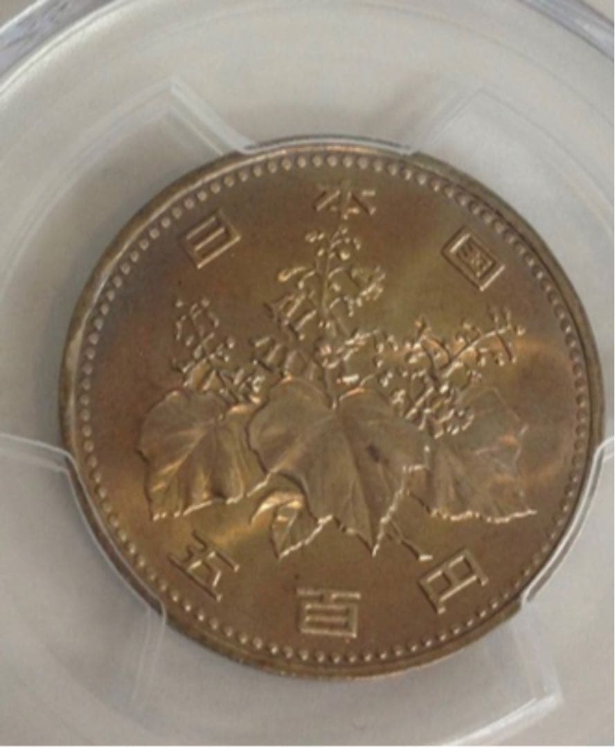 レア 希少 PCGS MS66 1989年 昭和64年 500円 硬貨 鑑定済