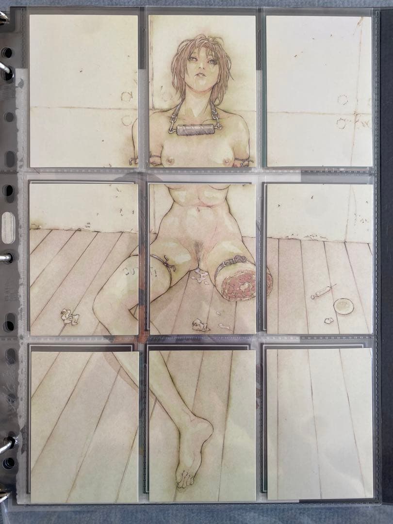 多重人格探偵サイコ　トレカ　レア　コンプ　少年エース増刊号　カード　　120枚