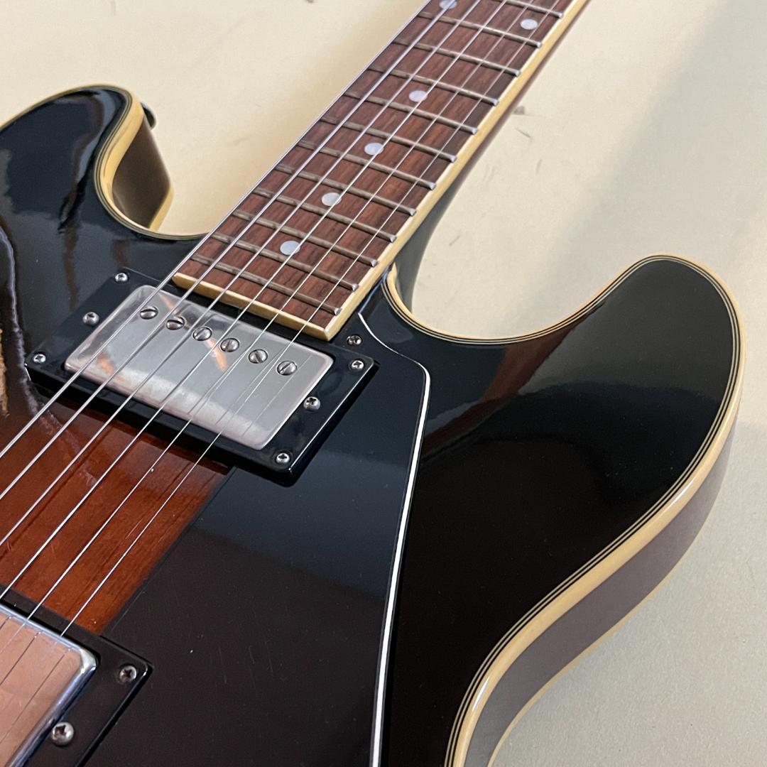 Aria Pro Ⅱ TA-01 セミアコ エレキギター サンバースト