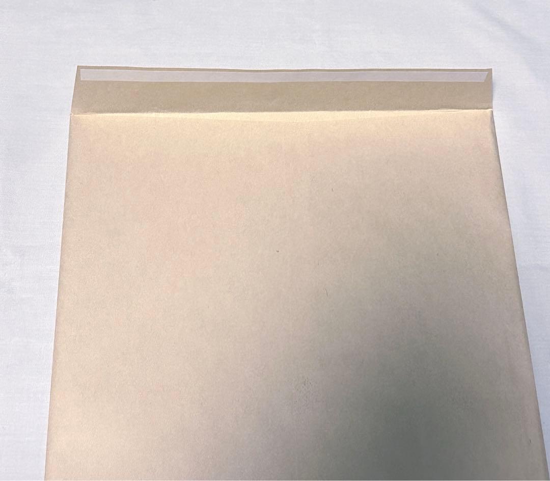 残響のテロル 生原画 ナイン MAPPA