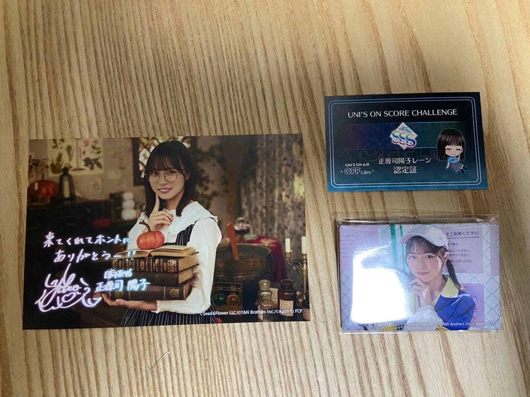 正源司陽子　ユニエアオフライン