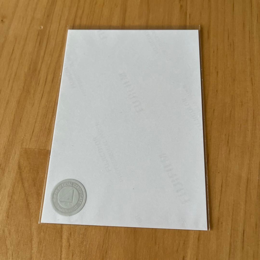 櫻坂46 小林由依 生写真