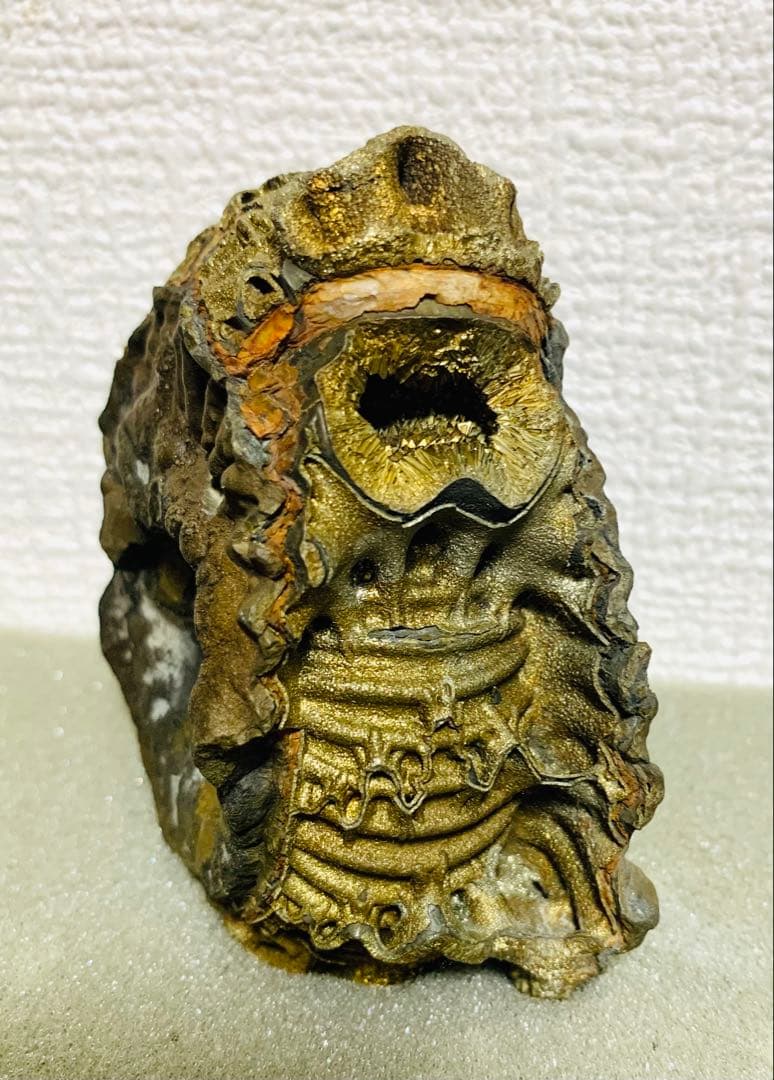 黄鉄鉱化アンモナイト 化石 大型