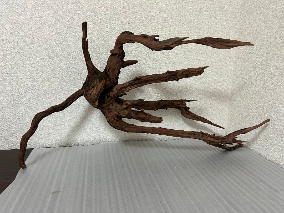 HX-083 流木　ホーンウッド　マシンガンウッド　アクアリウム　ブランチウッド