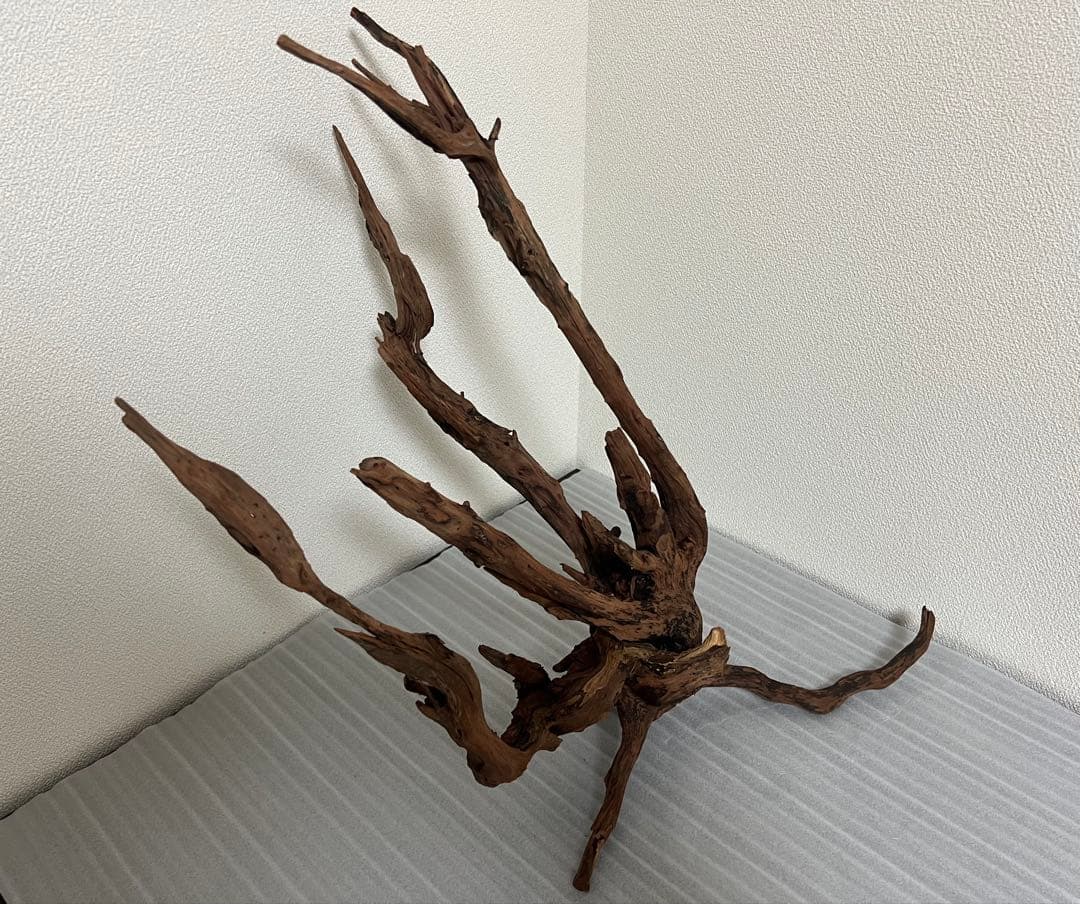 HX-083 流木　ホーンウッド　マシンガンウッド　アクアリウム　ブランチウッド