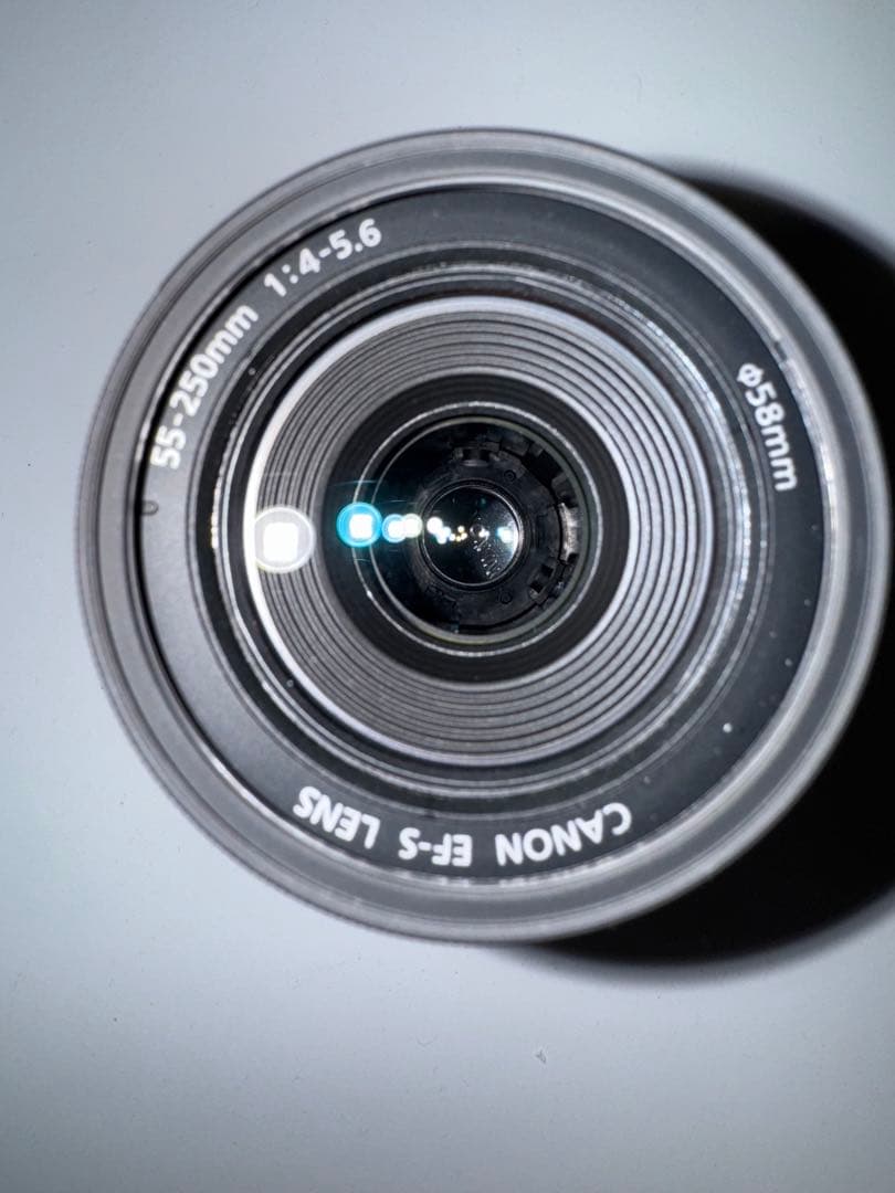 Canon EF-S IS 55-250mm 手ブレ補正付き望遠レンズ