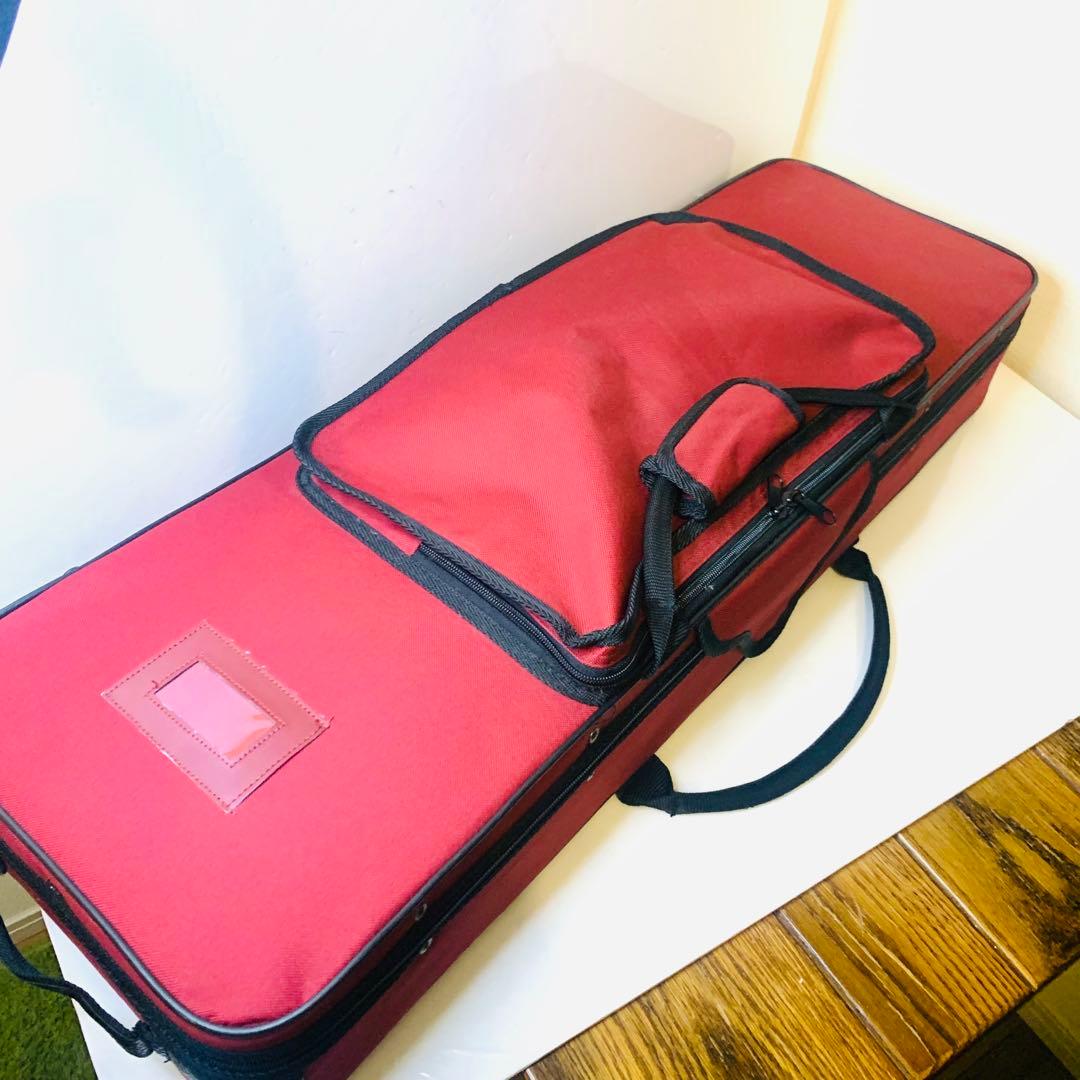 【美品】三線 沖縄 人工皮 蛇革 蛇皮 ハードケース付 初心者向け 和楽器