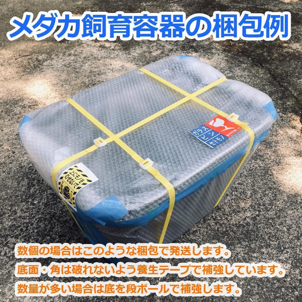 【限定特価】メダカ飼育ケース 40㍑トロ舟x5個 オーバーフロー付 金魚飼育容器