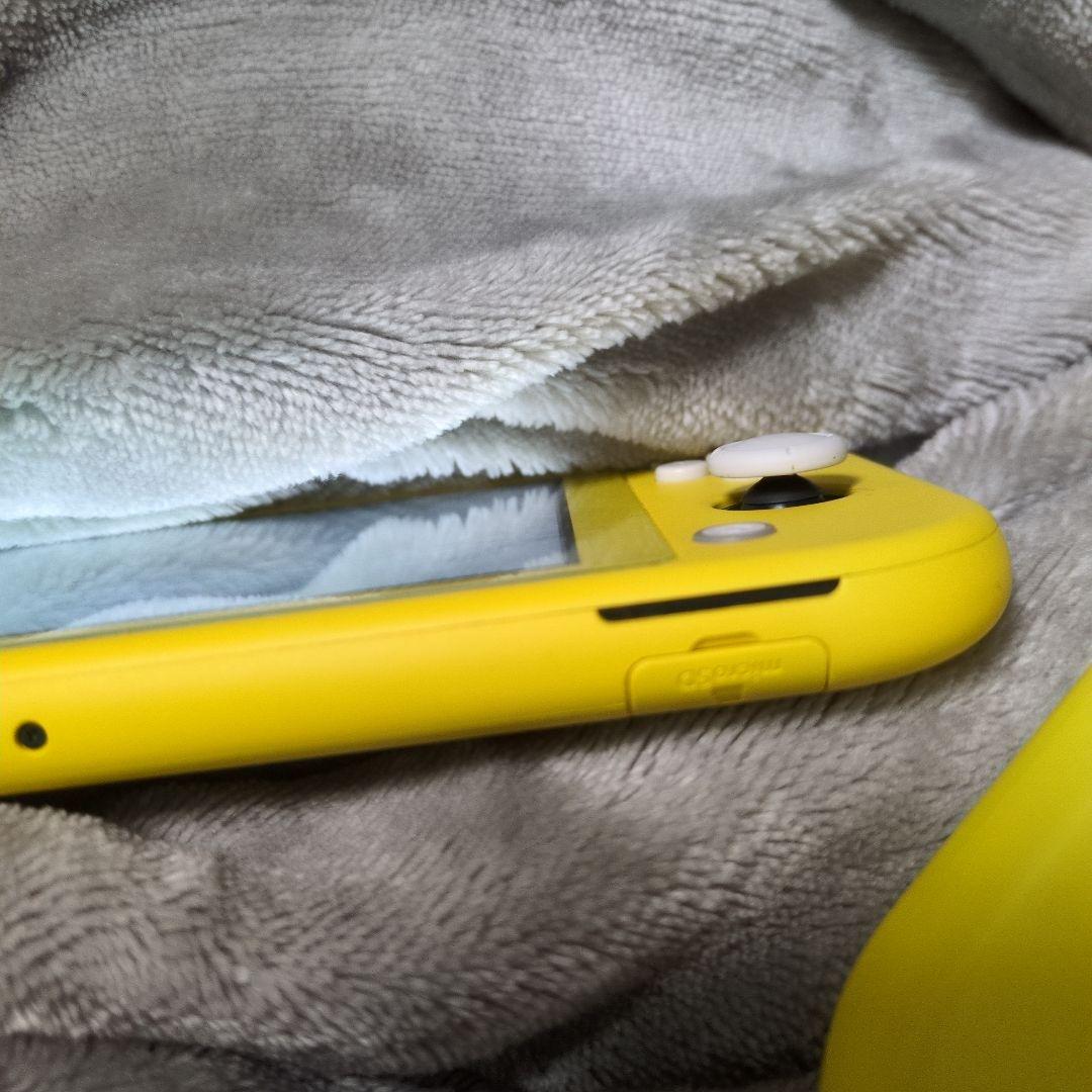 Nintendo Switch Lite　本体　純正ACアダプター 充電器付き