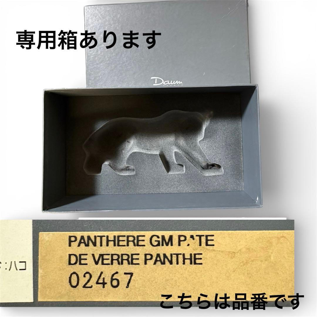 【極美品】ドーム フランス パンサー GM パートドヴェール 特大サイズ 箱付