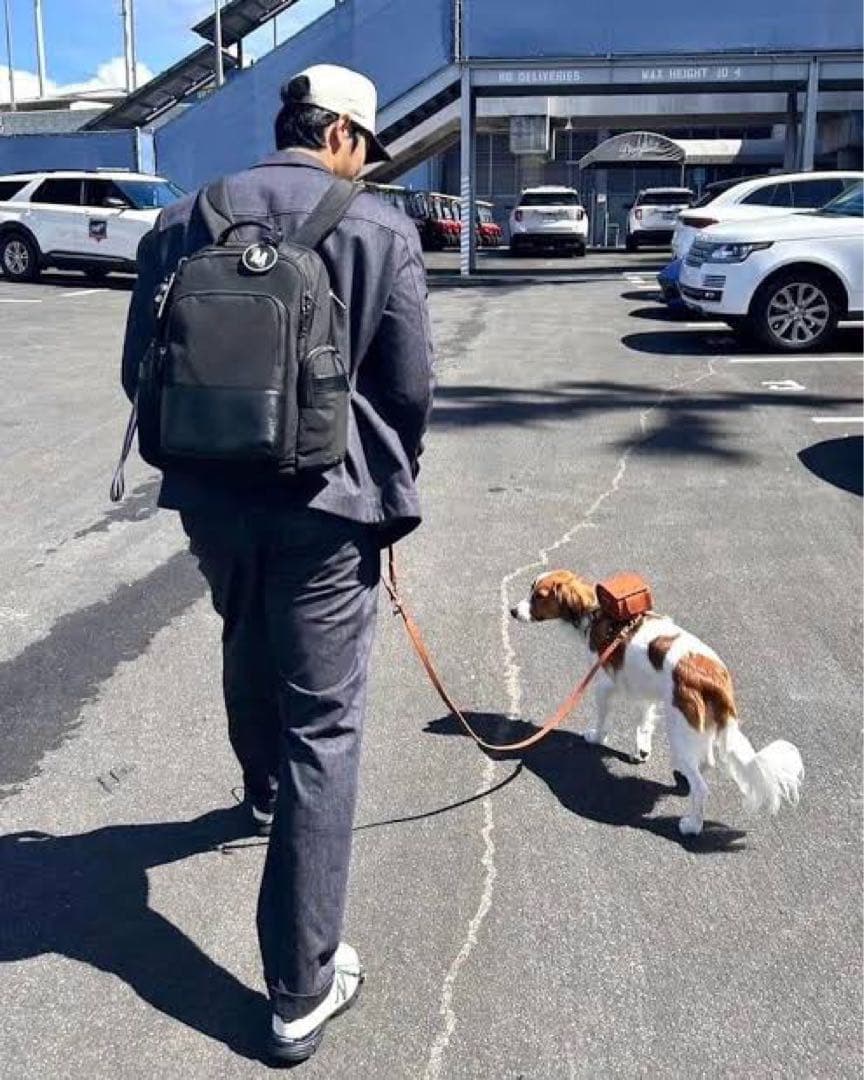 ペット ランドセル ブラウン 大谷翔平 デコピン　土屋鞄製造所