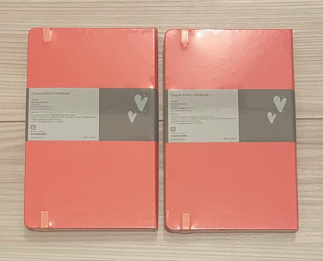 藤本さきこ × MOLESKINE カスタムエディション ノート 2冊セット