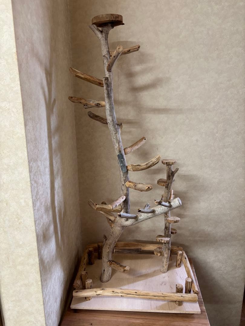 みゅん鳥インコ止まり木 タワー型バードアスレチックバードジム