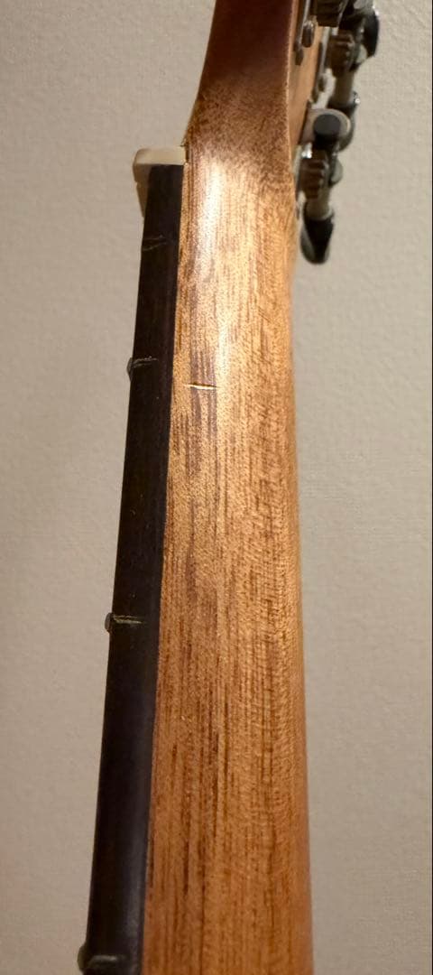 リメンバーミー コルドバ Cordoba ミニギター