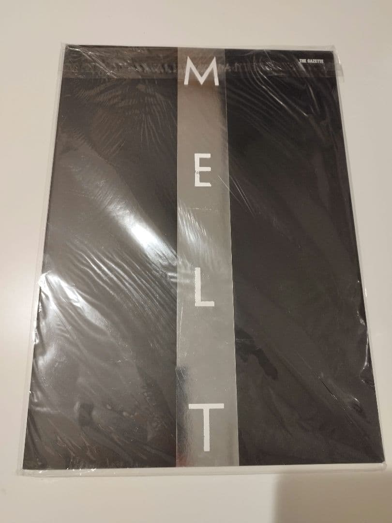 the GazettE パンフレット 写真集