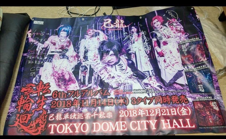 己龍 グッズ（タペストリー）