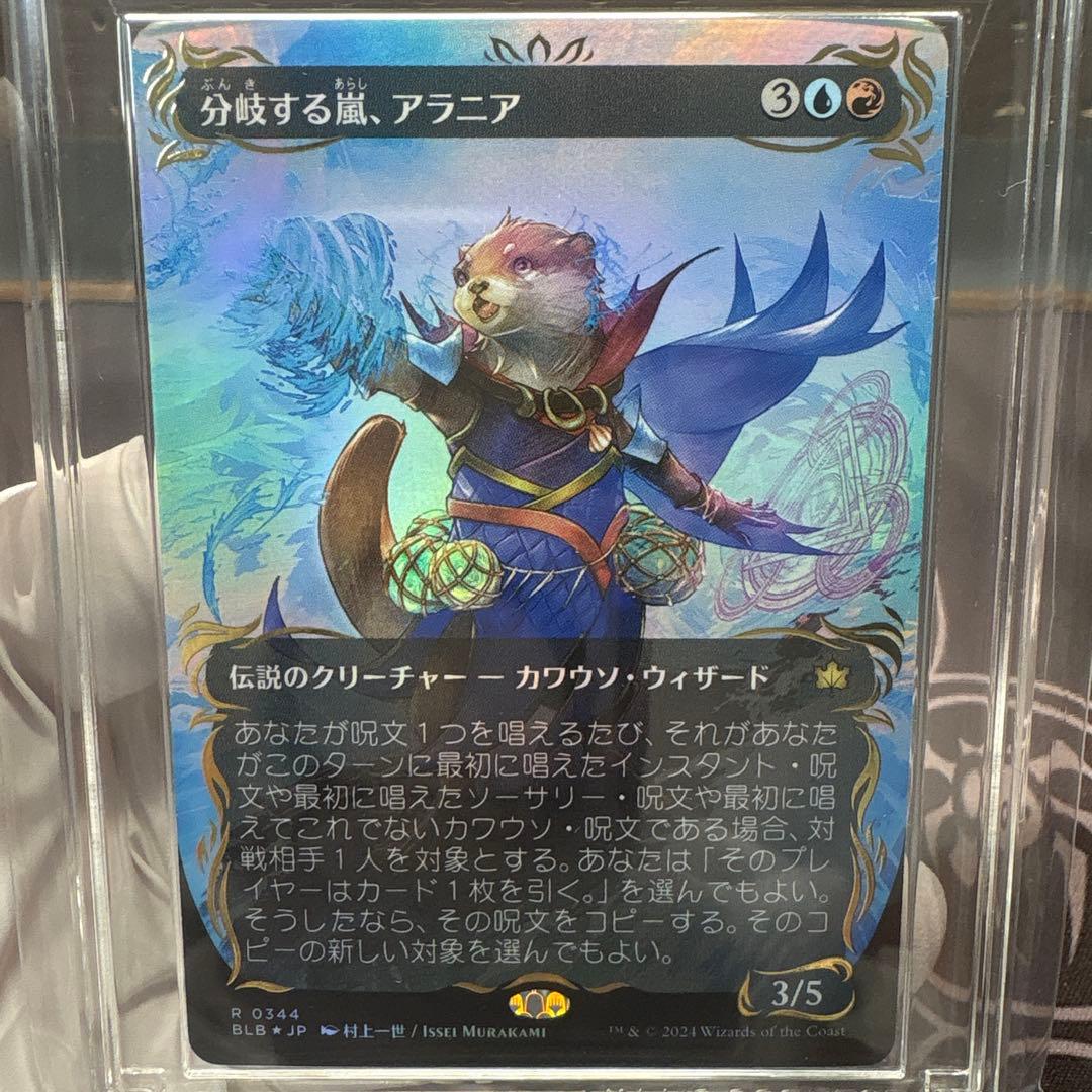 分岐する嵐、アラニア　VSS鑑定品