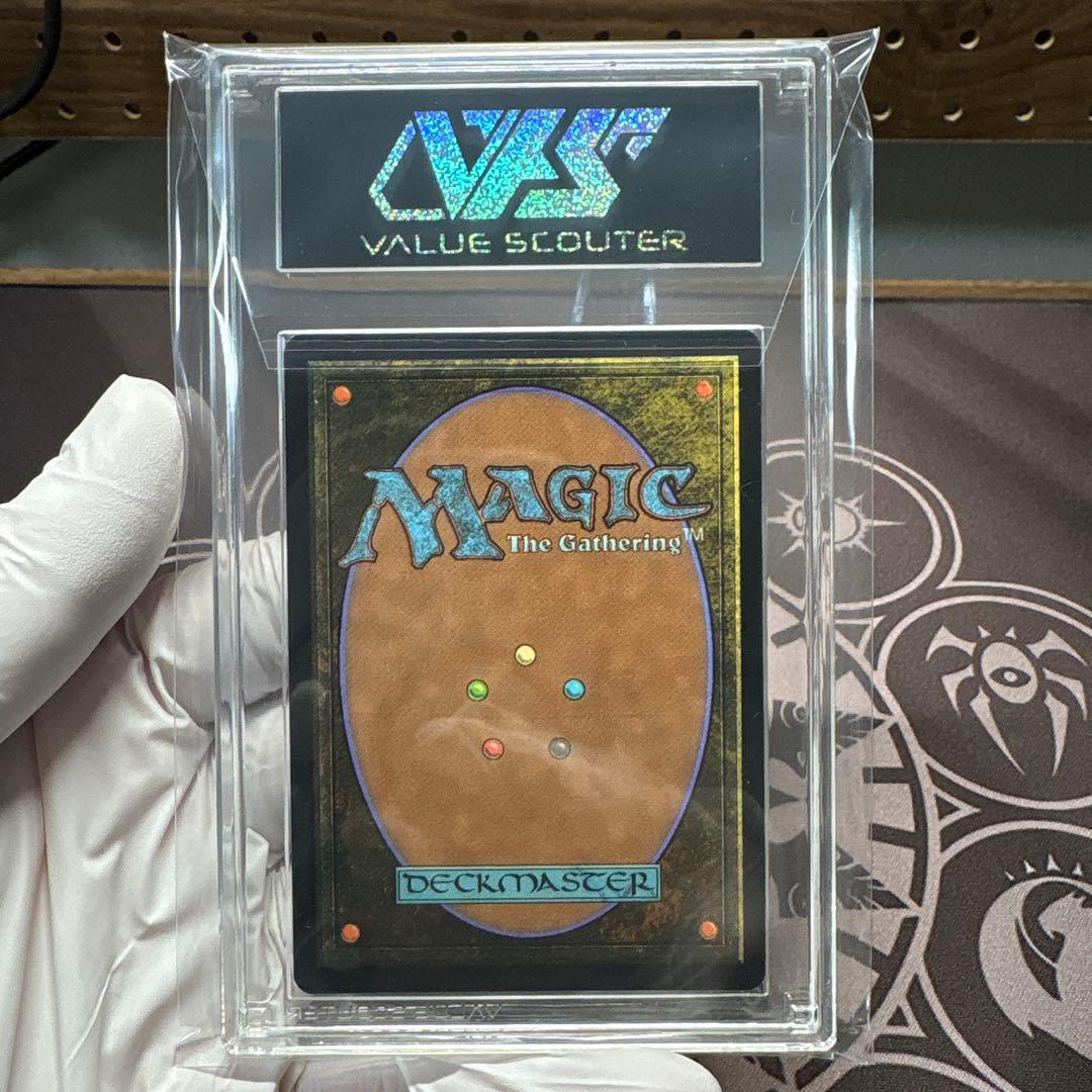 分岐する嵐、アラニア　VSS鑑定品