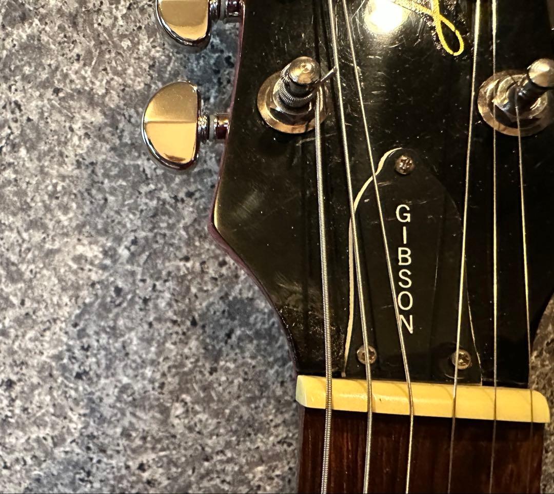 Epiphone Les Paul 100改