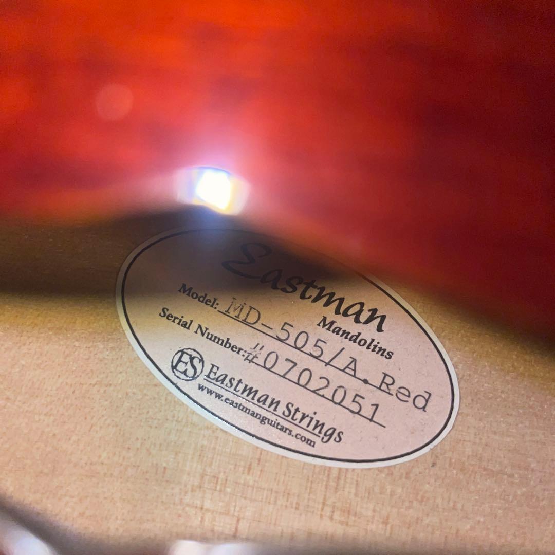 訳あり Eastman MD505　マンドリン ハードケース付き