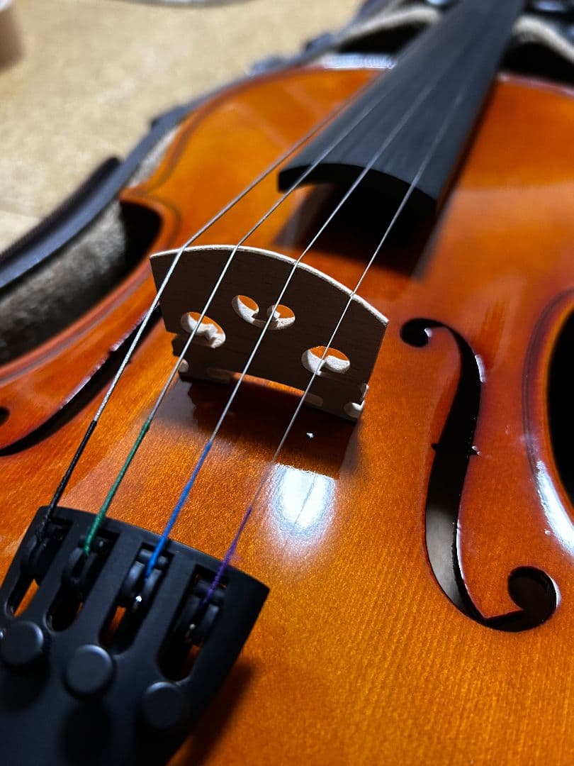 Y*o様 カルロジョルダーノ VS-1 4/4