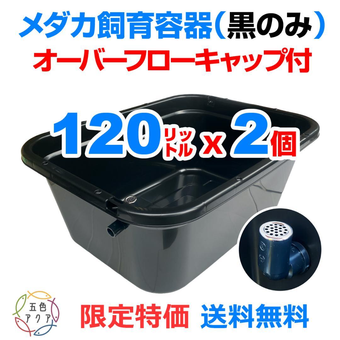【限定特価】メダカ飼育ケース 120㍑黒x2個 オーバーフロー 金魚飼育 越冬