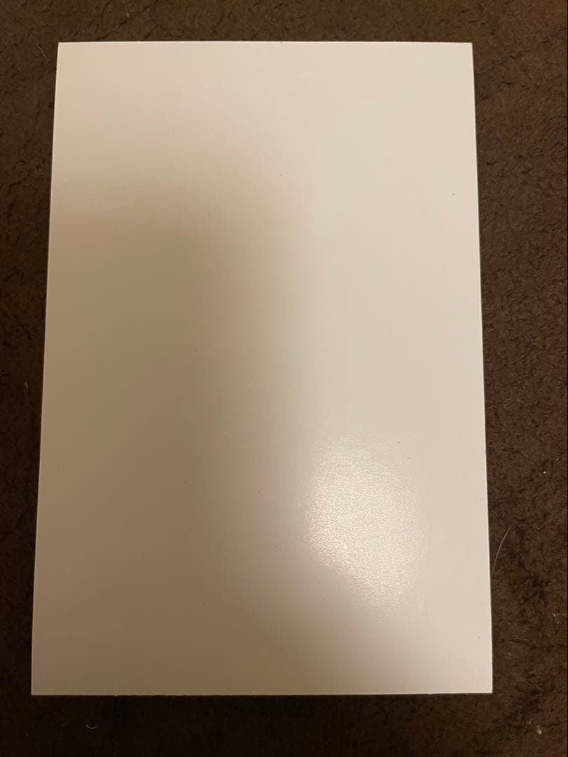 ジョジョ リアルペイントシート ボックス特典 DIO