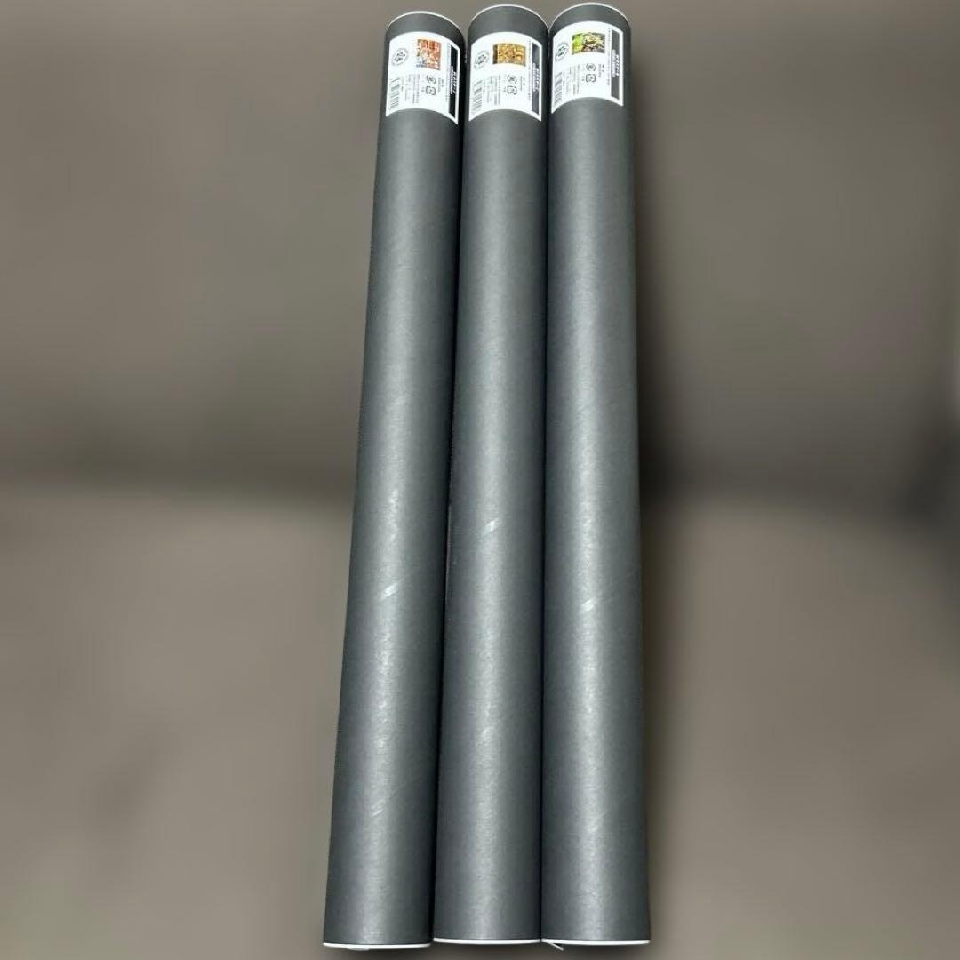 ジョジョの奇妙な冒険 スティールボールラン ジョジョキャラバン ポスター3種