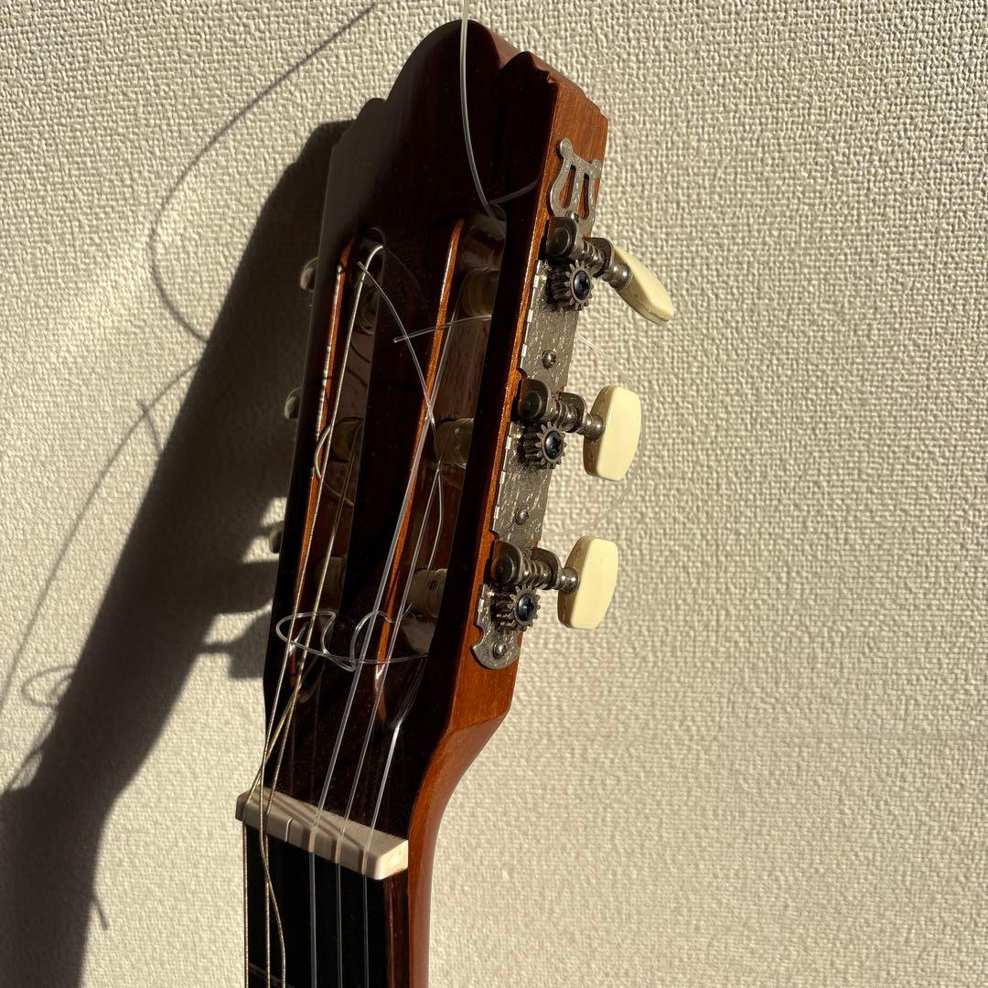 アコースティックギターzenon guitar zg-200