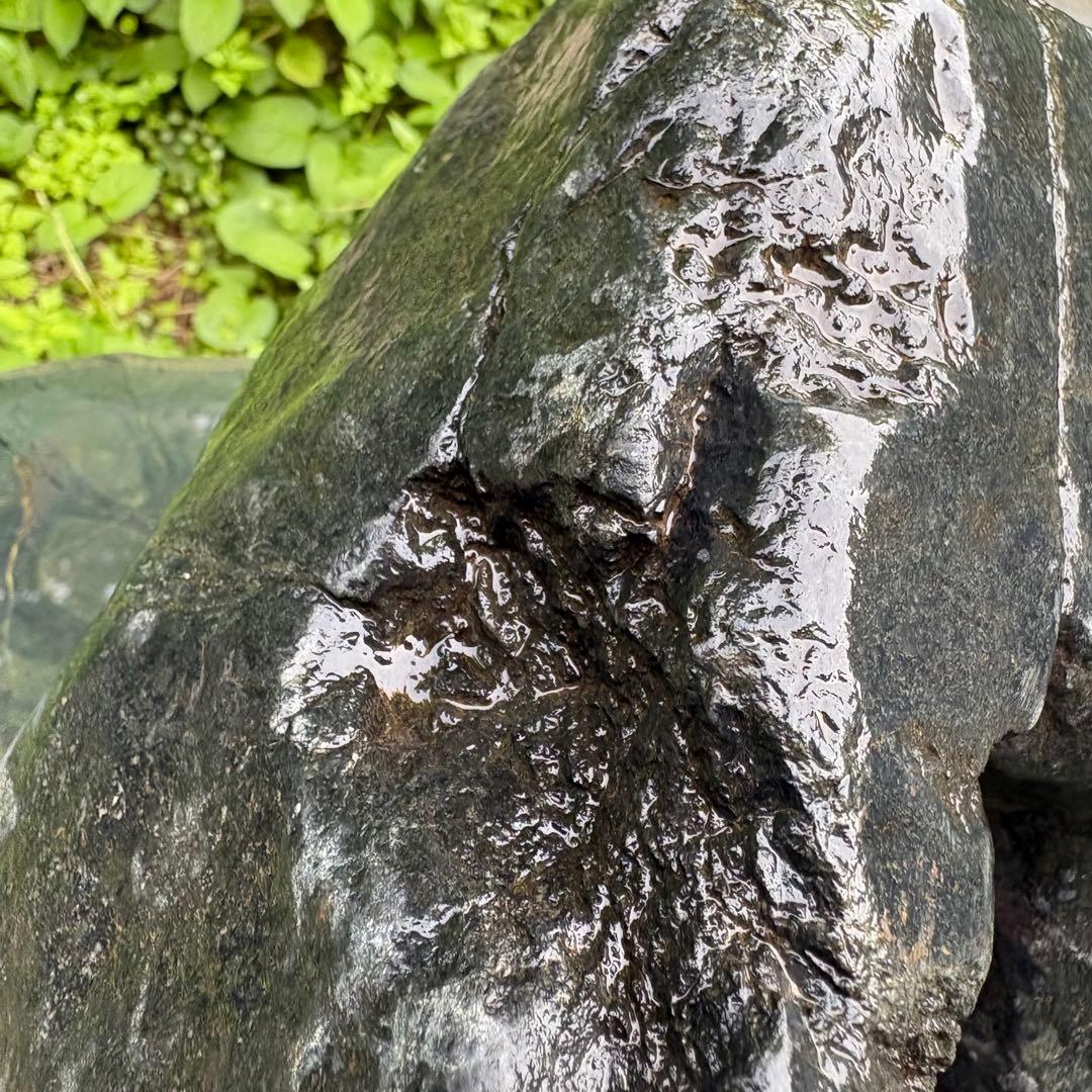 【再お値下げ】〈希少 八海山石 大型9kg〉アクアリウム 親石 ウブ石 ジャグレ