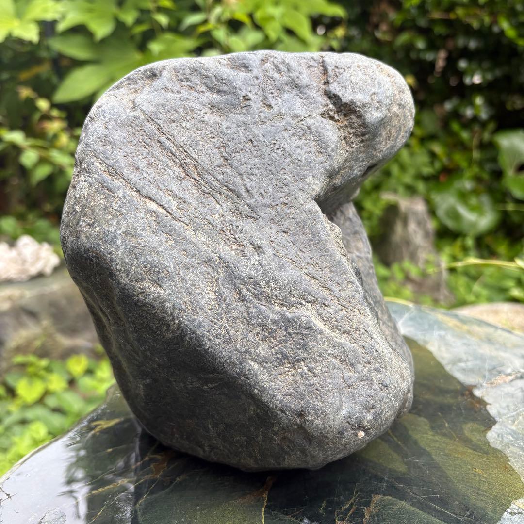 【再お値下げ】〈希少 八海山石 大型9kg〉アクアリウム 親石 ウブ石 ジャグレ