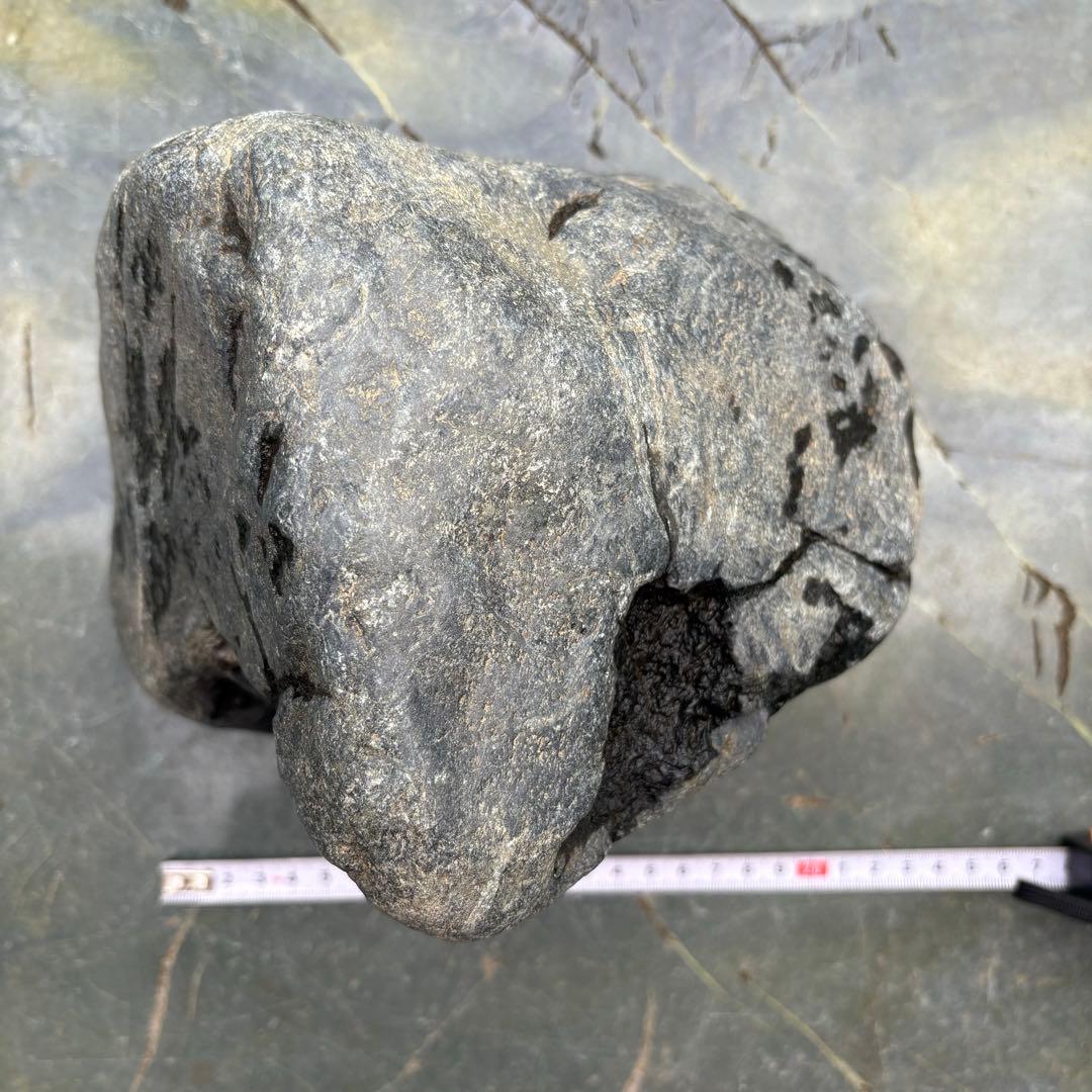 【再お値下げ】〈希少 八海山石 大型9kg〉アクアリウム 親石 ウブ石 ジャグレ