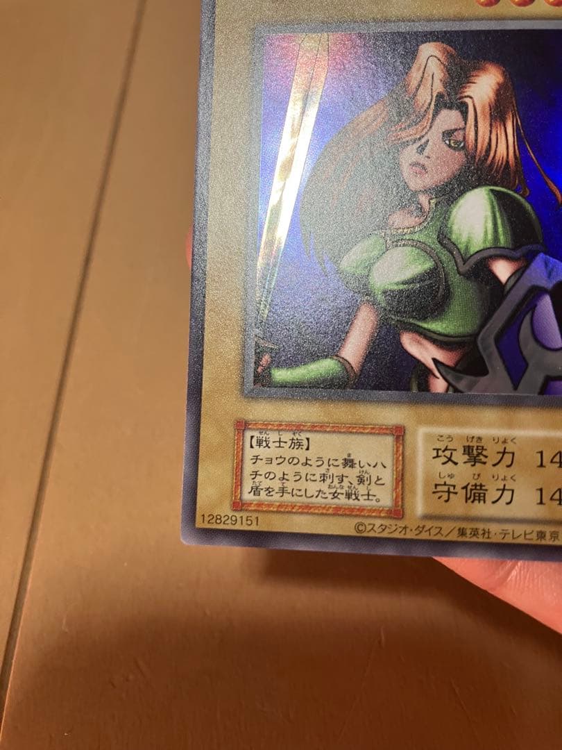 QUARTER CENTURY LIMITED PACK 女剣士カナン 復刻版