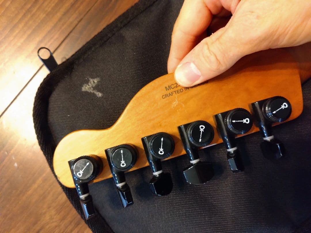 ギター Pro-Mod So-Cal Style 2 24 HH 2PT CM ASH