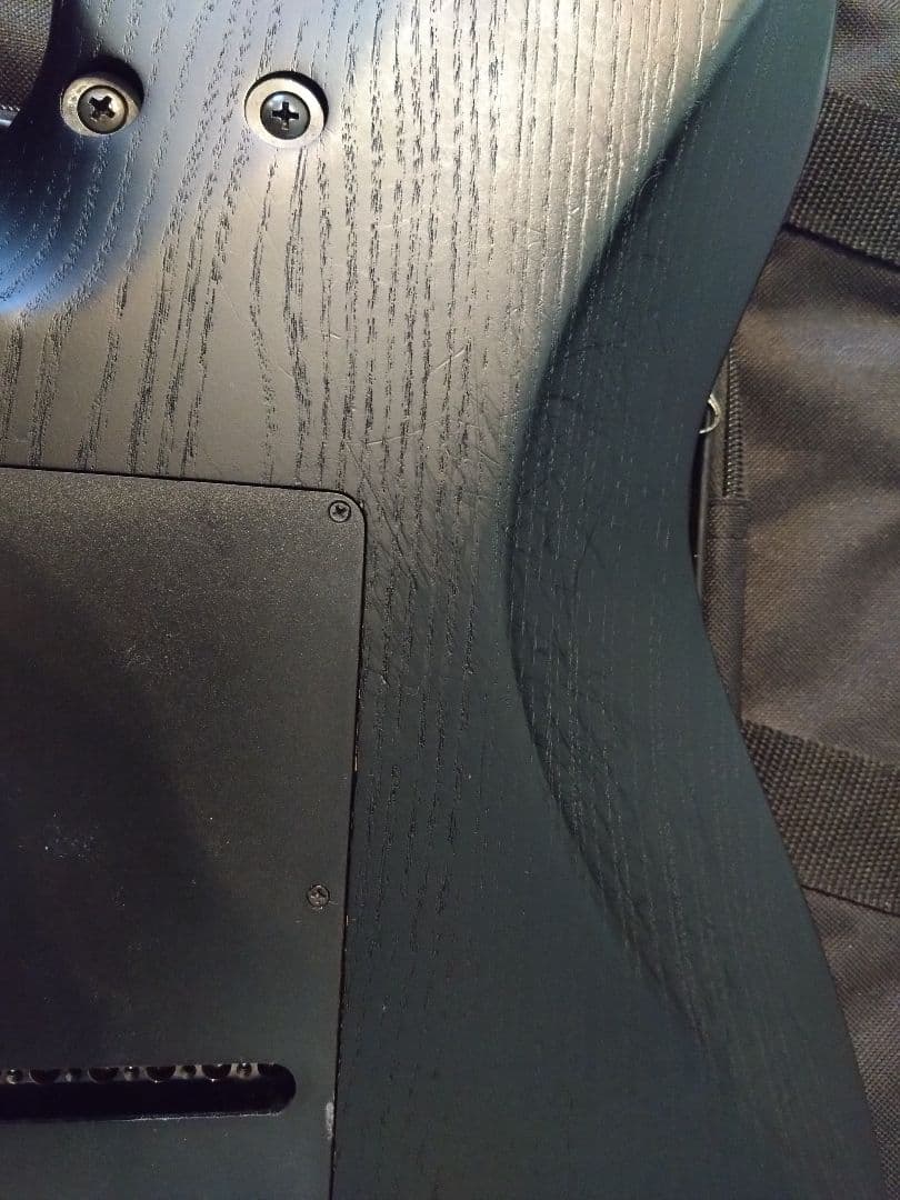 ギター Pro-Mod So-Cal Style 2 24 HH 2PT CM ASH