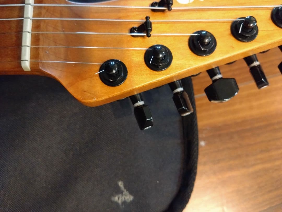 ギター Pro-Mod So-Cal Style 2 24 HH 2PT CM ASH