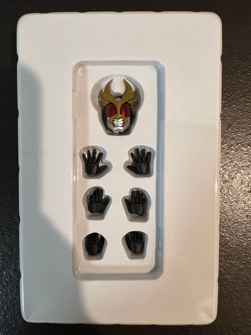 真骨彫製法 仮面ライダーアギト 美中古品 付属品完備