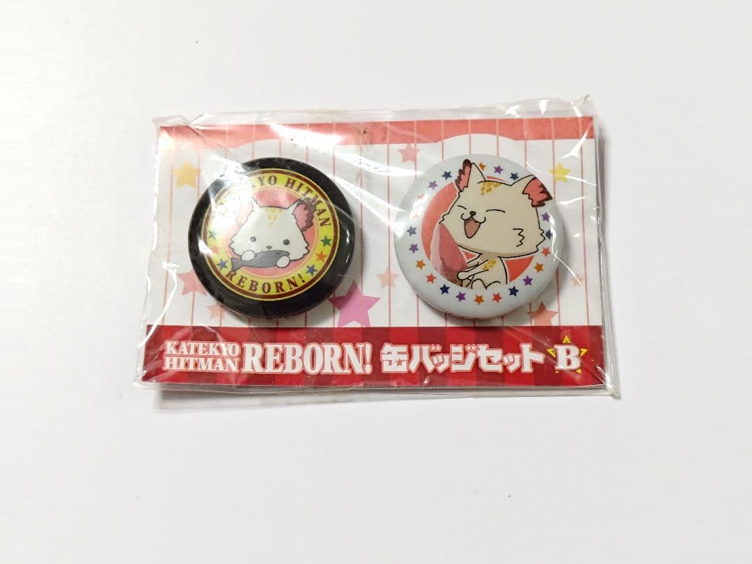 家庭教師ヒットマンREBORN 瓜 缶バッジセットB 獄寺隼人