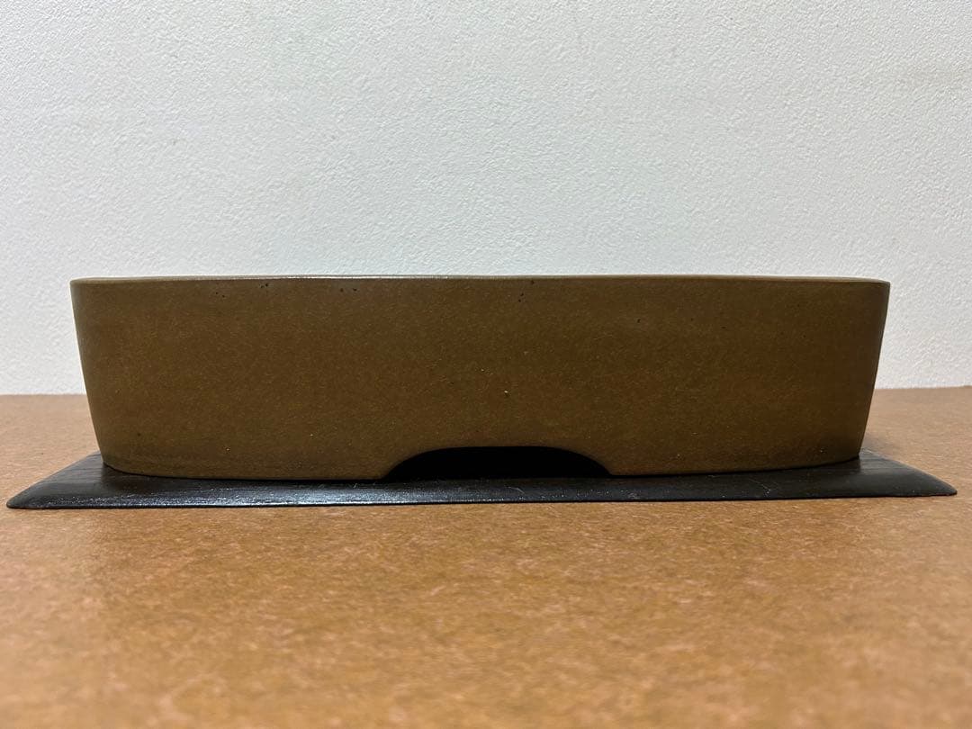 萬留平　盆栽鉢　山野草