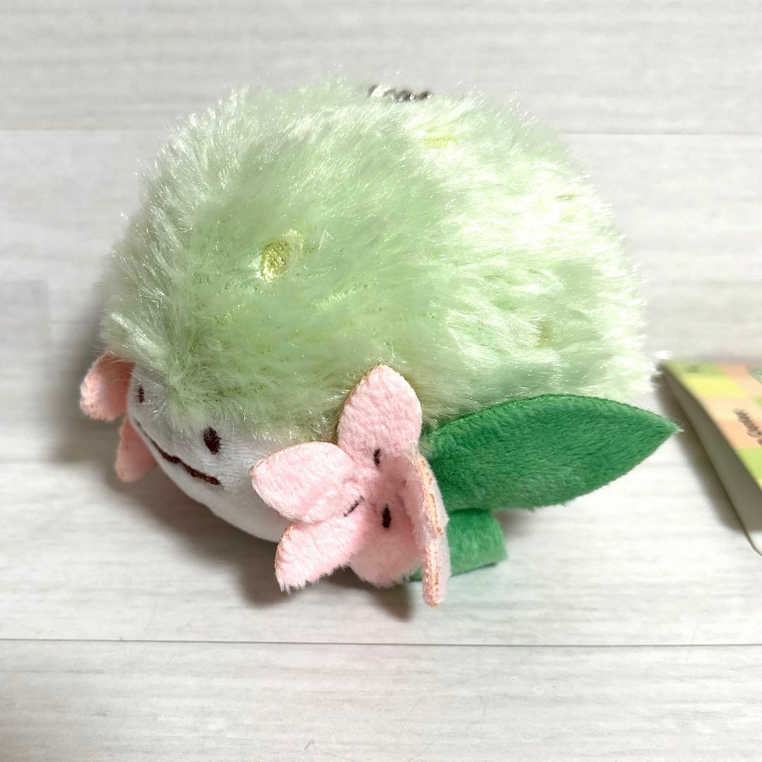 へんしんメタモン シェイミ　マスコット　ポケモンセンター