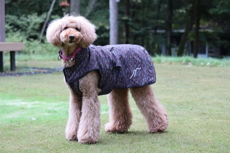 Hakusan お布団 ジャケット