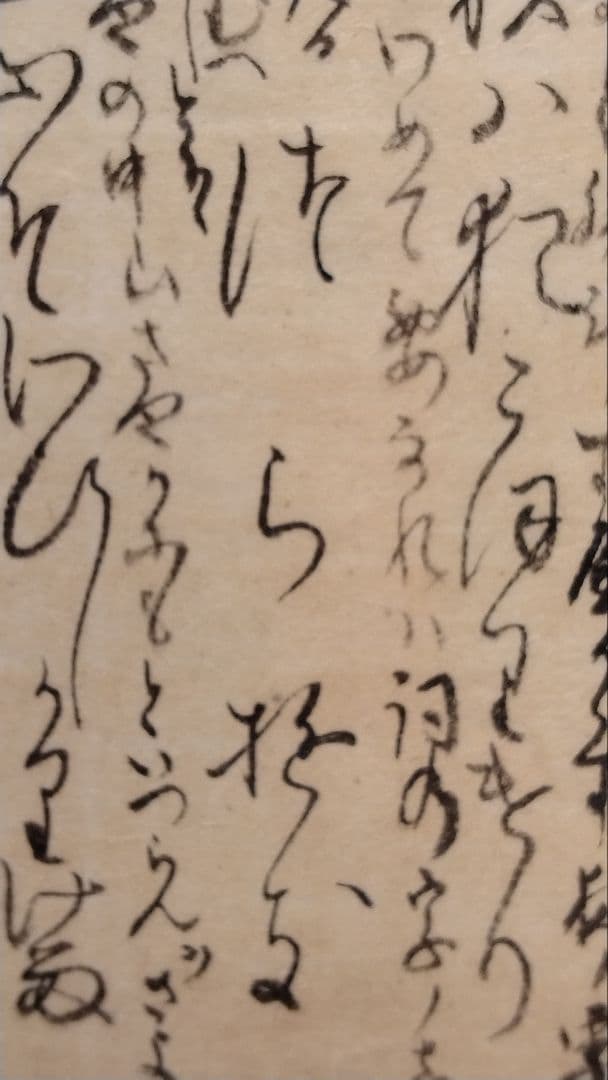 古今和歌集594番〜★紀友則 紀貫之の和歌　不昧公正室所蔵　茶道掛軸仮名くずし字