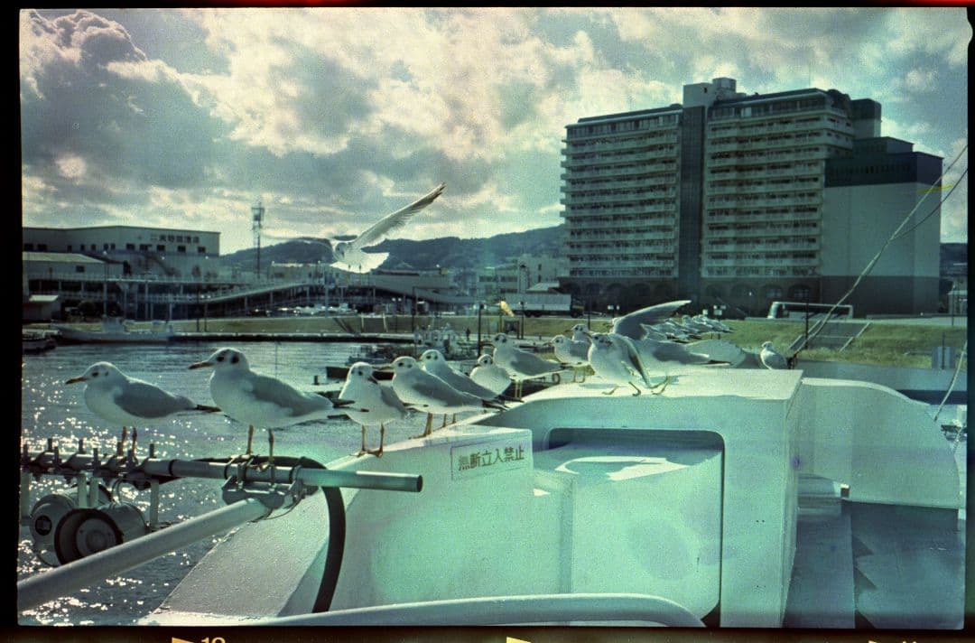 【美品】FUJI 6x9 Pro GW690III 90mm F3.5作例付