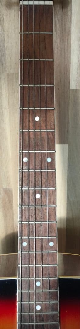 promartin w-180-ts アコースティックギター