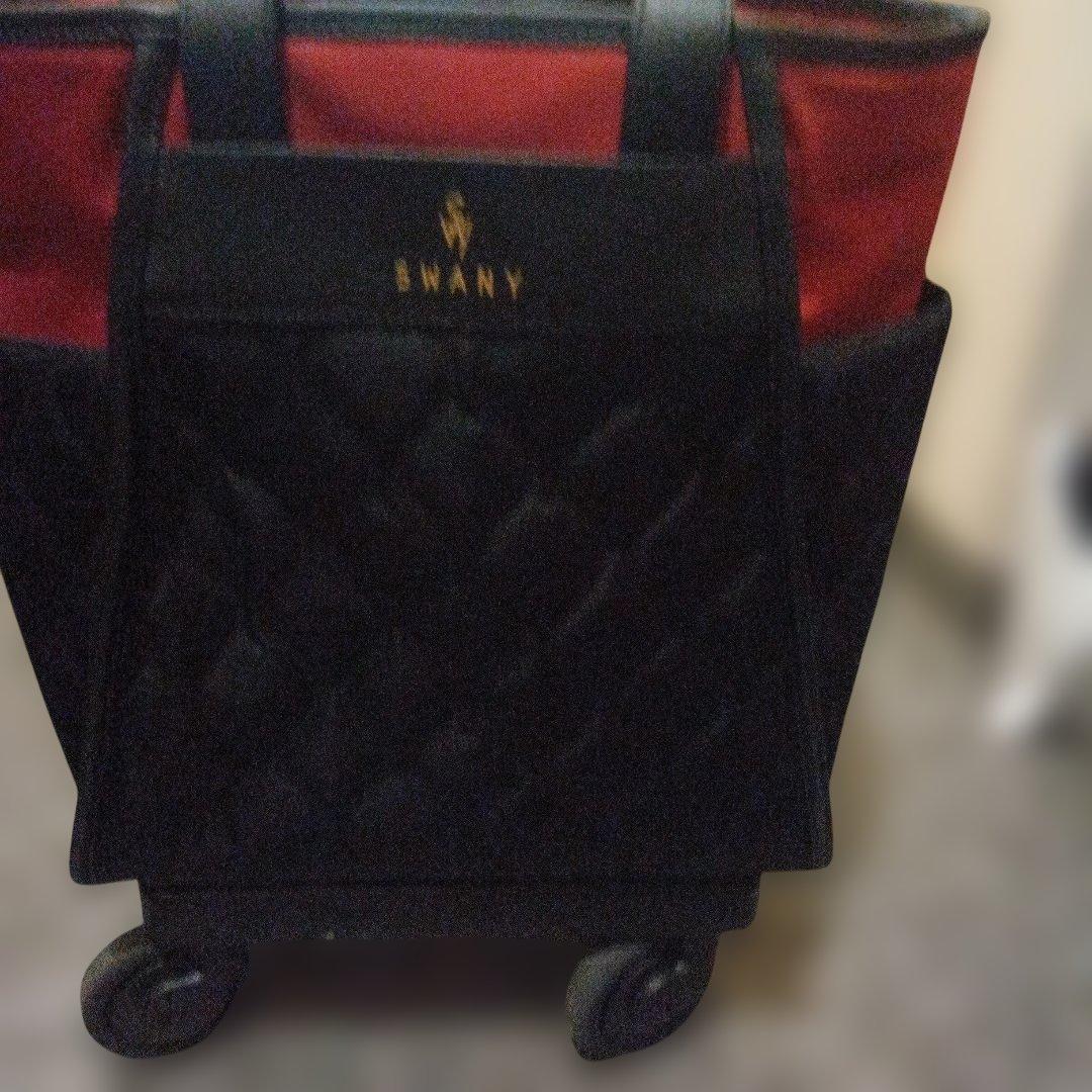 SWANY スワニー　キャリーバッグ D-589 プーフォ M21