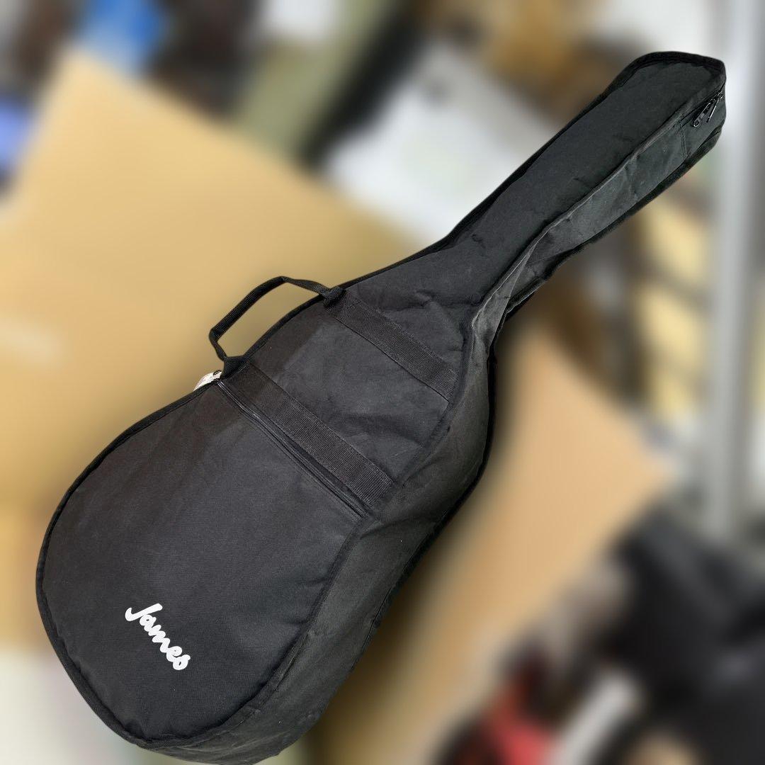 6911 アコースティックギター James ジェームス J-300D NAT