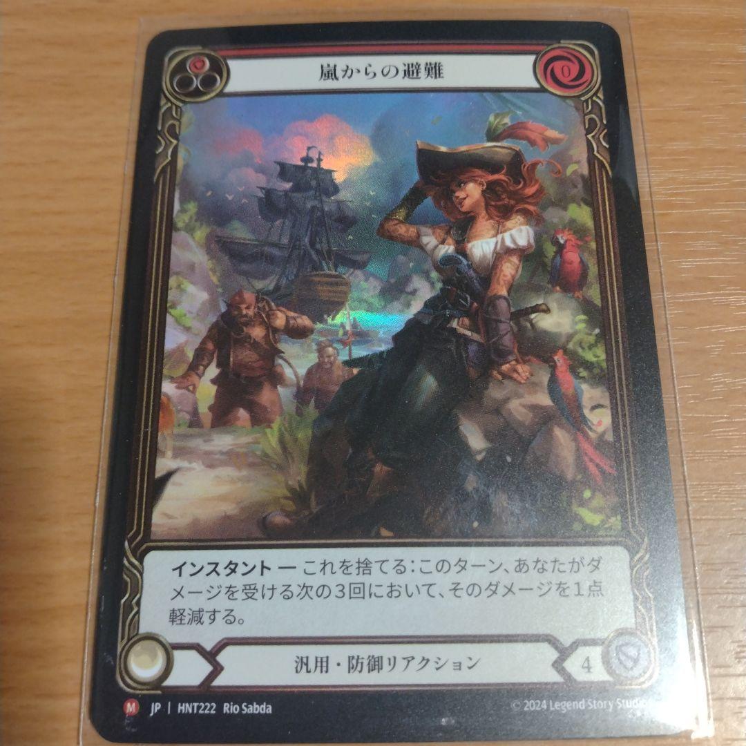 FaB 嵐からの避難　RF　拡張アートExtended Art