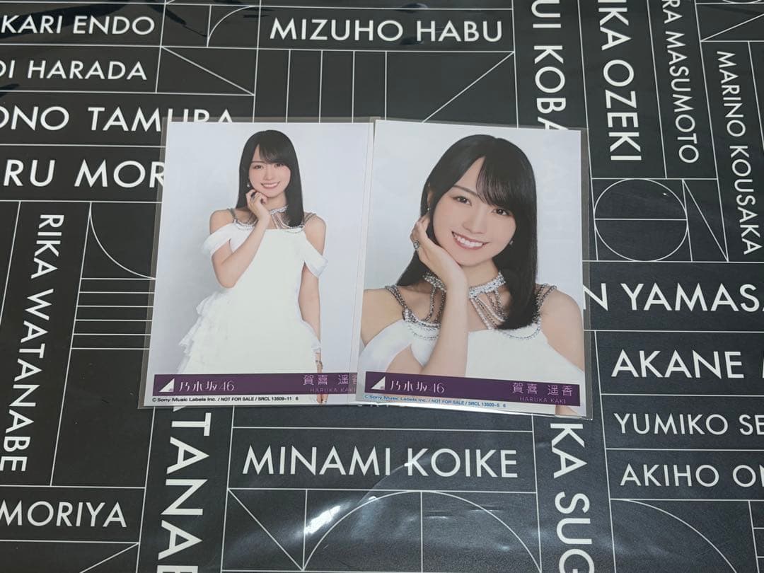 賀喜遥香 生写真 My respect アルバム 封入 乃木坂46 a